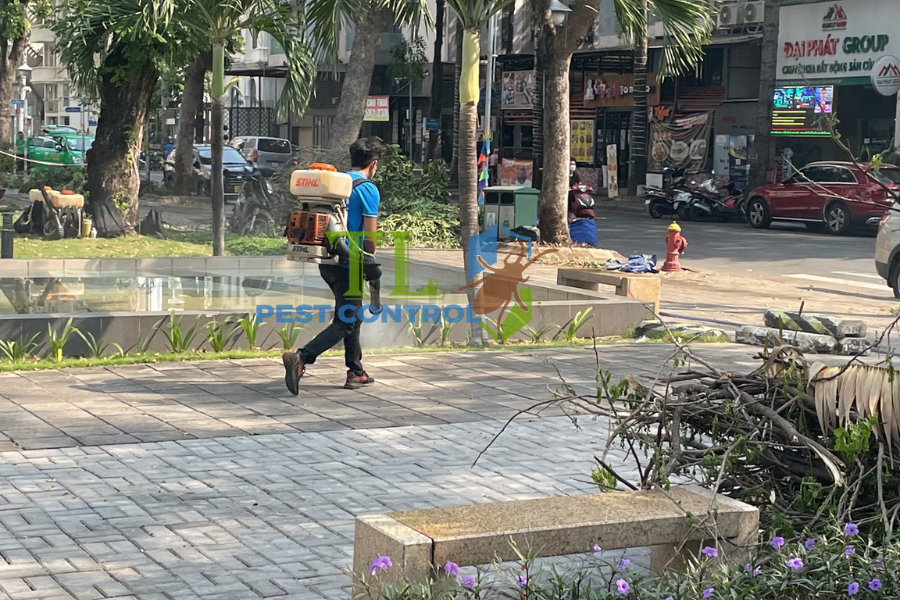 Diệt mối phường Chợ Lớn