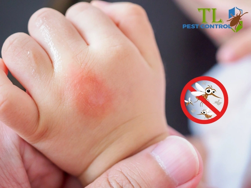 nhà có trẻ nhỏ có nên phun thuốc muỗi