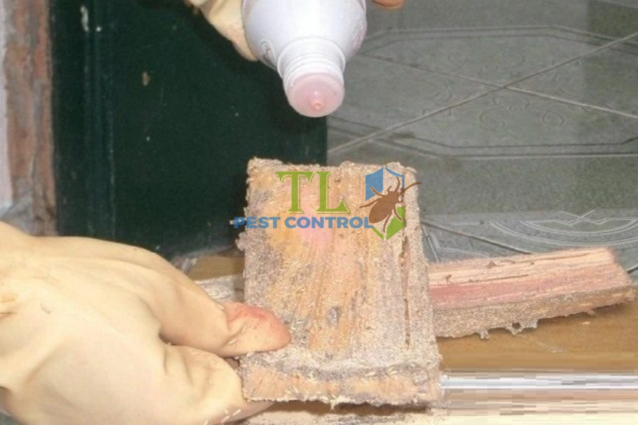 #Hướng Dẫn Sử Dụng Thuốc Diệt Mối Dạng Bột Đúng Cách