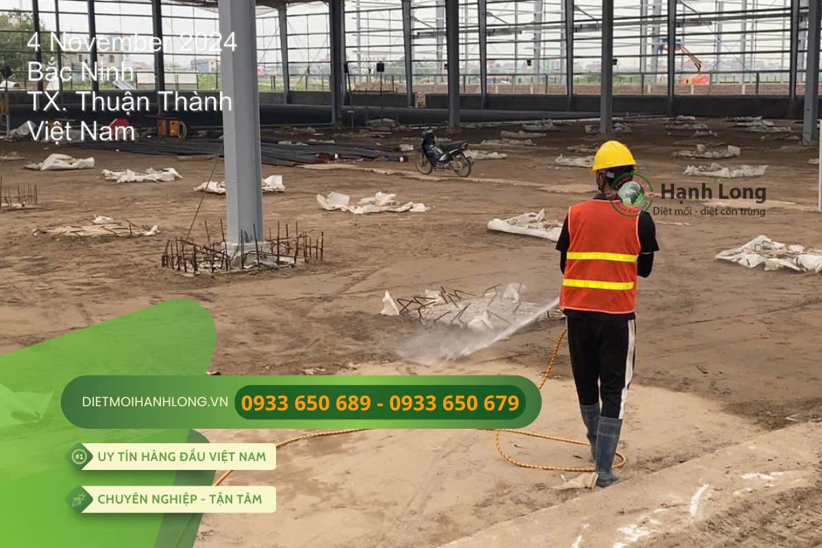 diệt muỗi tại quận 1