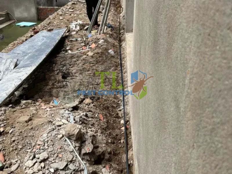 dịch vụ phòng chống mối dịch vụ phòng chống mối