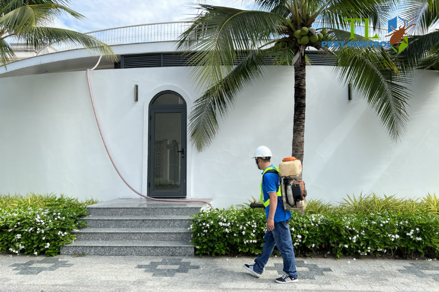 Dịch vụ diệt côn trùng chuyên nghiệp của Trần Long