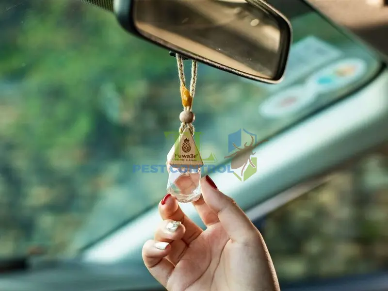cách đuổi muỗi trong xe ô tô