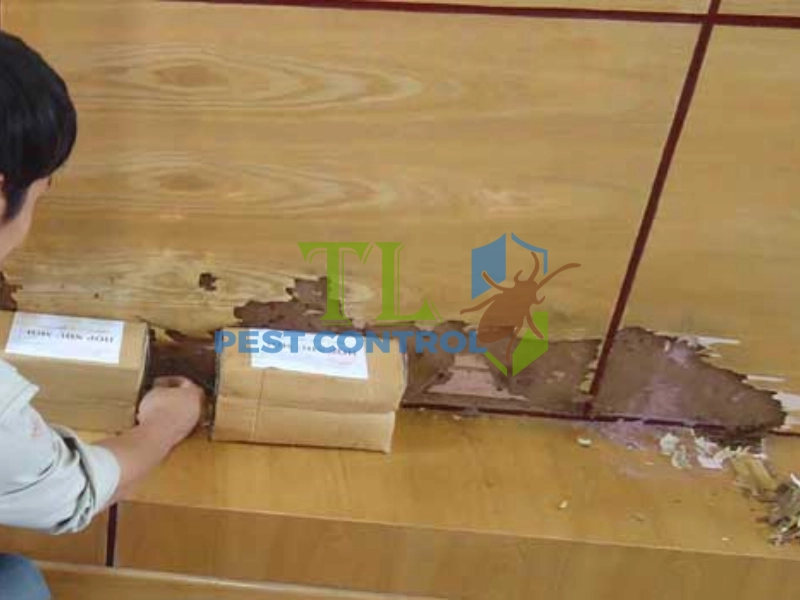 giá diệt mối cho công ty