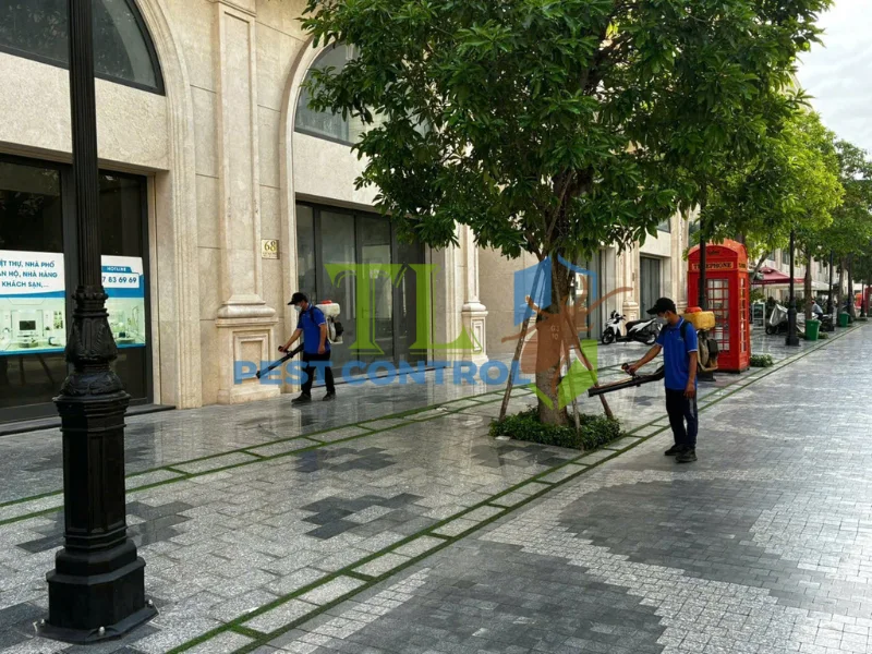 diệt mối quận 1