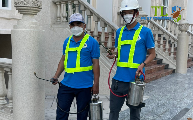 Dịch vụ diệt côn trùng chuyên nghiệp của Trần Long