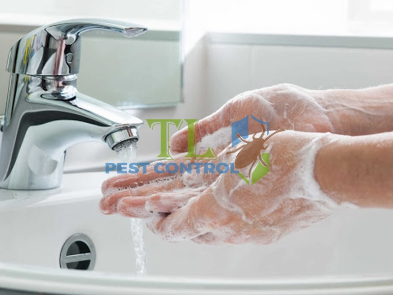 thuốc xịt mối có độc không
