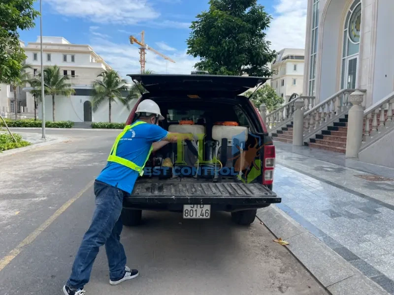 diệt mối bình dương diệt mối bình dương