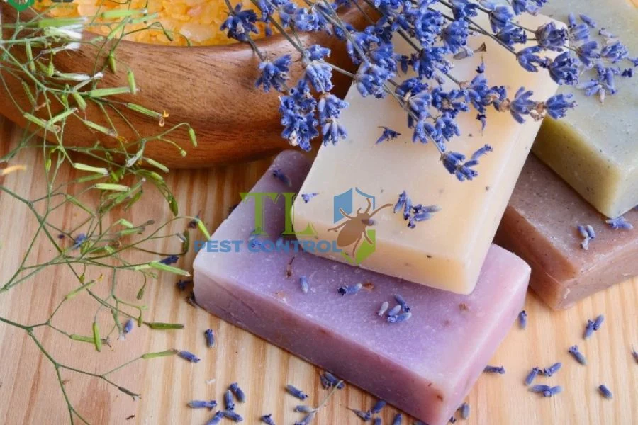 Cách Đuổi Muỗi Bằng Xà Phòng Hiệu Quả Bất Ngờ, Dễ Thực Hiện