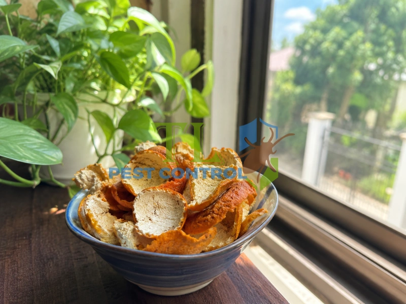 chống muỗi đốt chống muỗi đốt