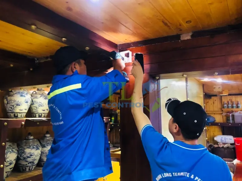 Những cam kết về chất lượng diệt mối Bình Thạnh của Trần Long