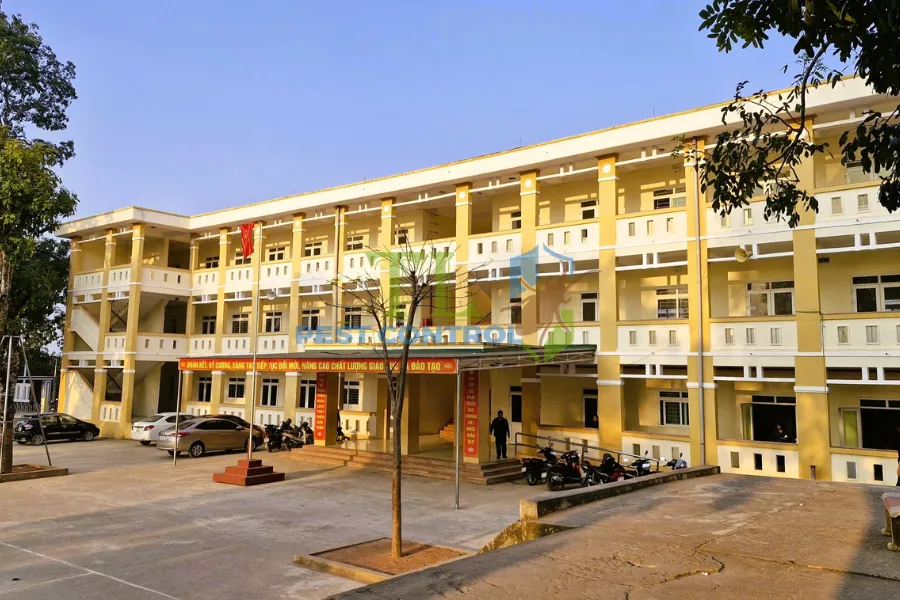 Diệt mối cho trường học: an toàn, ít mùi, thi công ngoài giờ