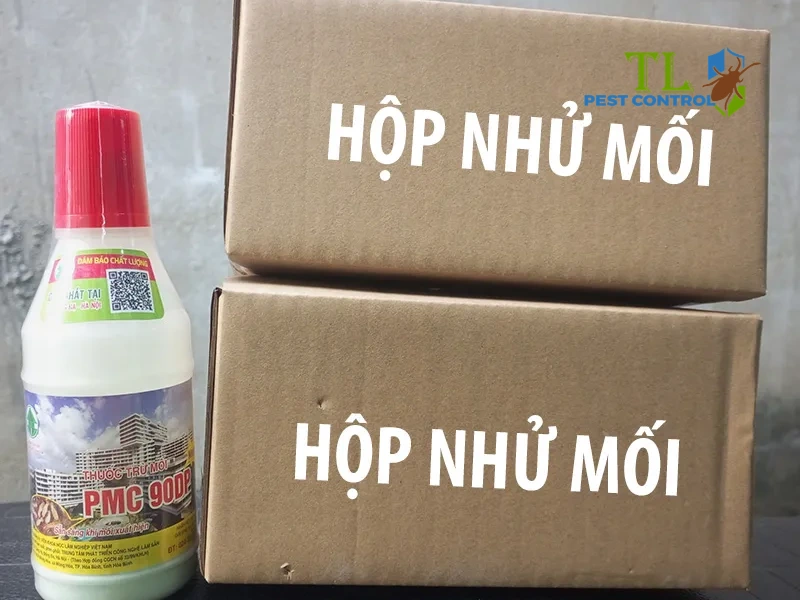 công ty diệt mối quận 9