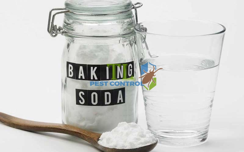 cách diệt kiến bằng baking soda