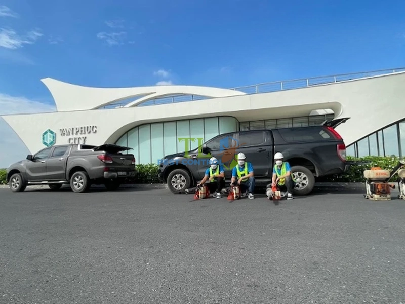 dịch vụ diệt bọ chét tại nhà