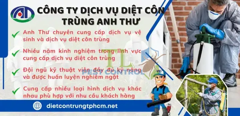 Công ty diệt côn trùng Anh Thư chuyên cung cấp dịch vụ diệt muỗi, gián, kiến, mối uy tín