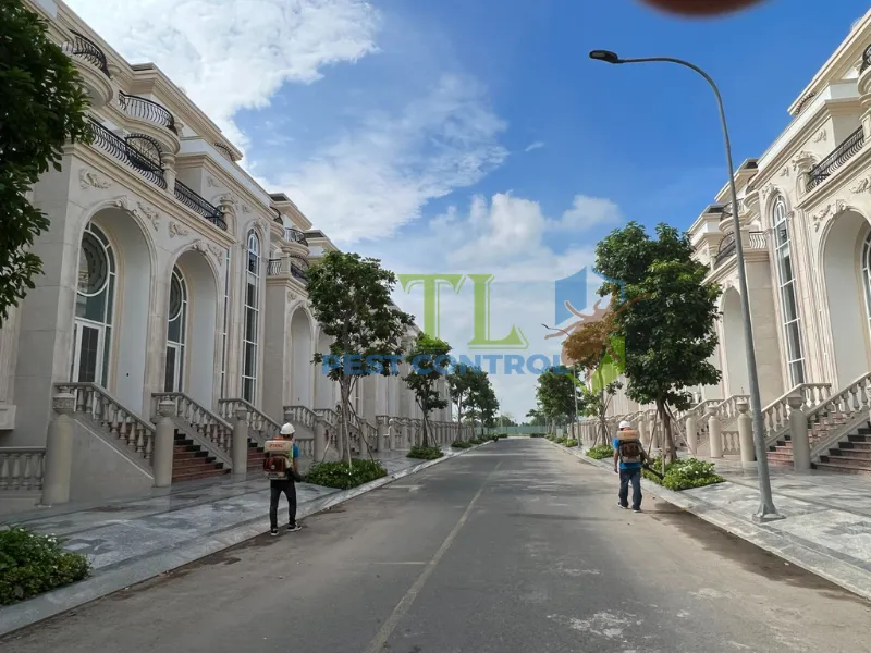 Phương pháp diệt mối phù hợp cho biệt thự