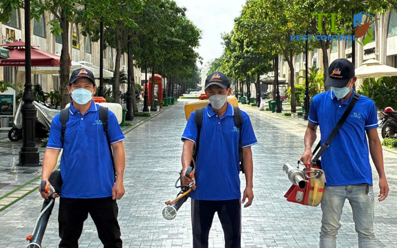 Dịch vụ diệt côn trùng chuyên nghiệp của Trần Long