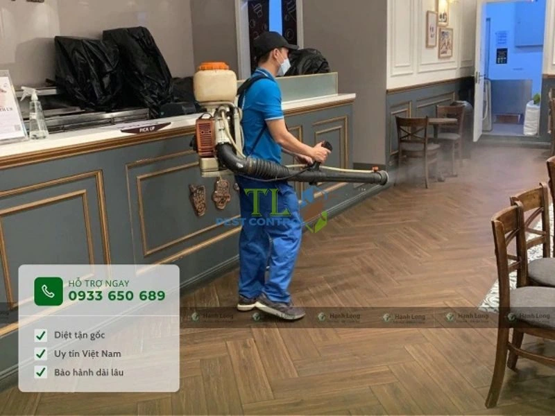 diệt mối quận 9 diệt mối quận 9