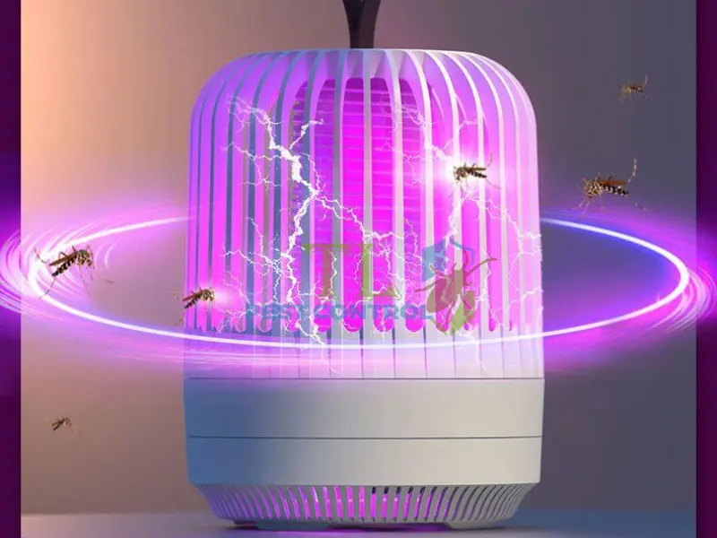 muỗi có sợ ánh sáng không