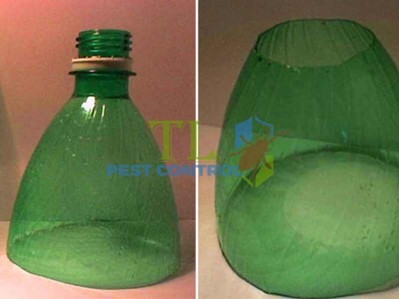 cách đuổi ong ruồi