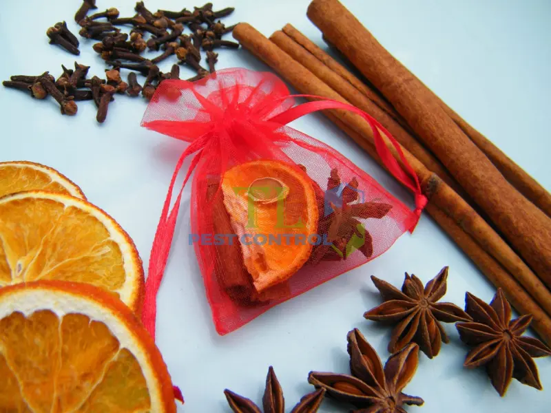 Làm túi đuổi muỗi