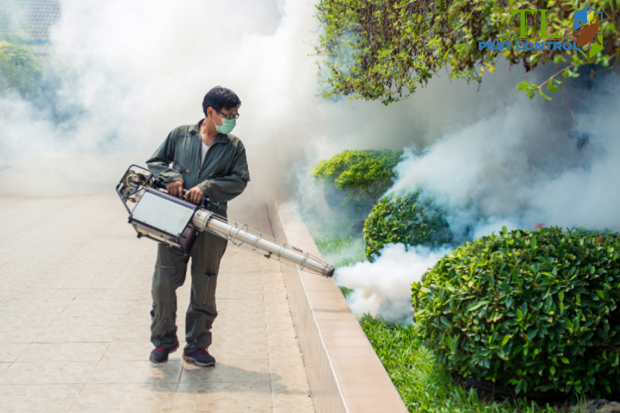 Tự Phun Thuốc Muỗi Tại Nhà: An Toàn, Hiệu Quả & Tiết Kiệm Chi Phí