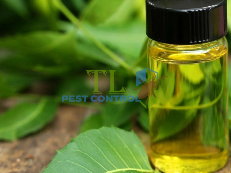 diệt mối cửa gỗ diệt mối cửa gỗ