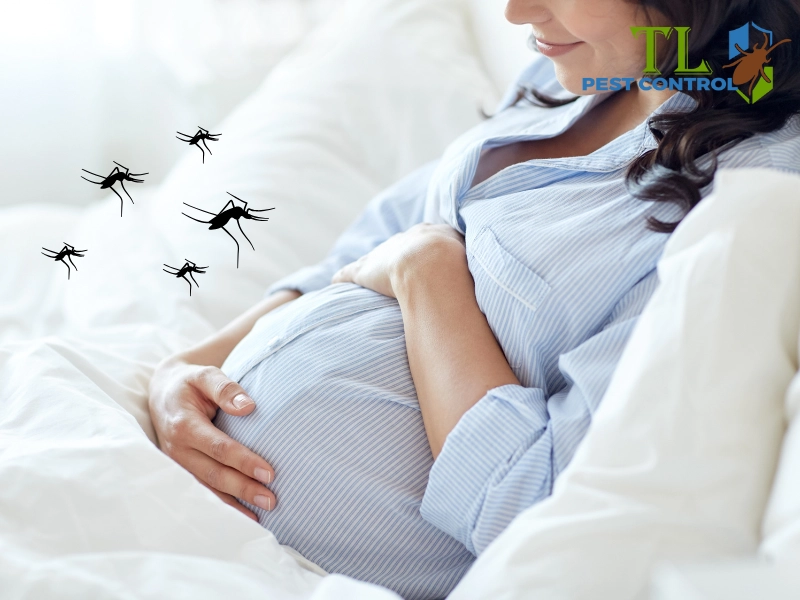 Mẹ bầu dễ bị muỗi đốt do thân nhiệt cao hơn người bình thường