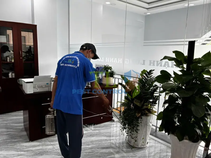 Tham khảo thêm các dịch vụ tại khu vực lân cận của Trần Long
