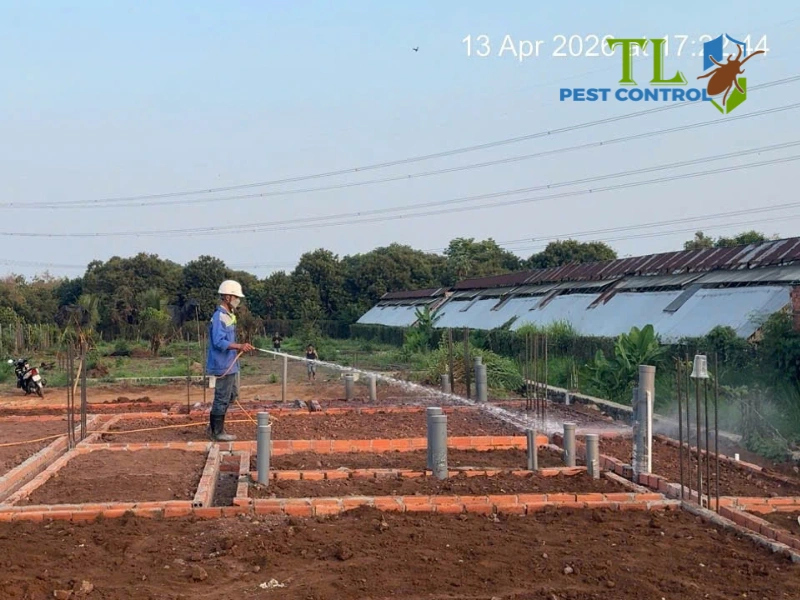 diệt mối đất