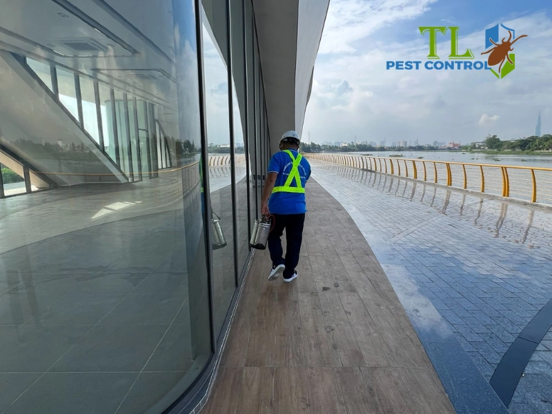 Diệt mối xong bao lâu thì hết mùi