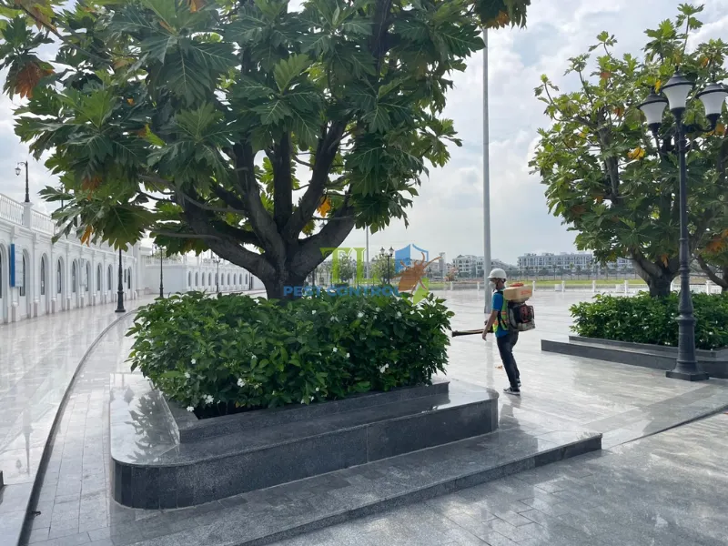 đuổi muỗi bằng hành