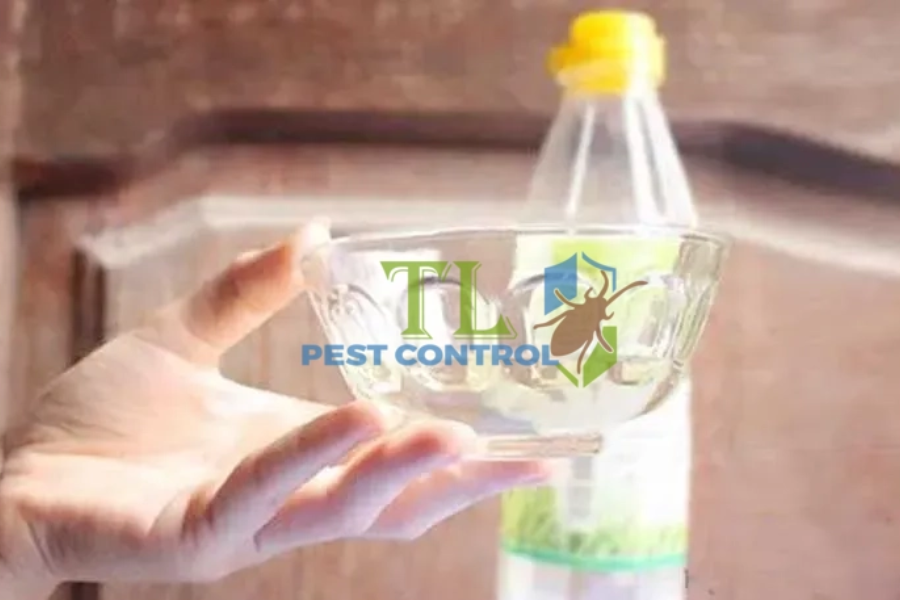 5+ Cách Diệt Kiến Đen Trong Nhà Hiệu Quả, An Toàn và Dễ Thực Hiện