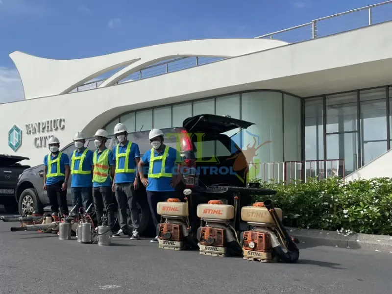 Quy trình dịch vụ diệt mối chuyên nghiệp tại phường Xuân Hoà của Trần Long