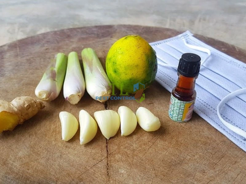 cách làm túi đuổi muỗi bằng khẩu trang