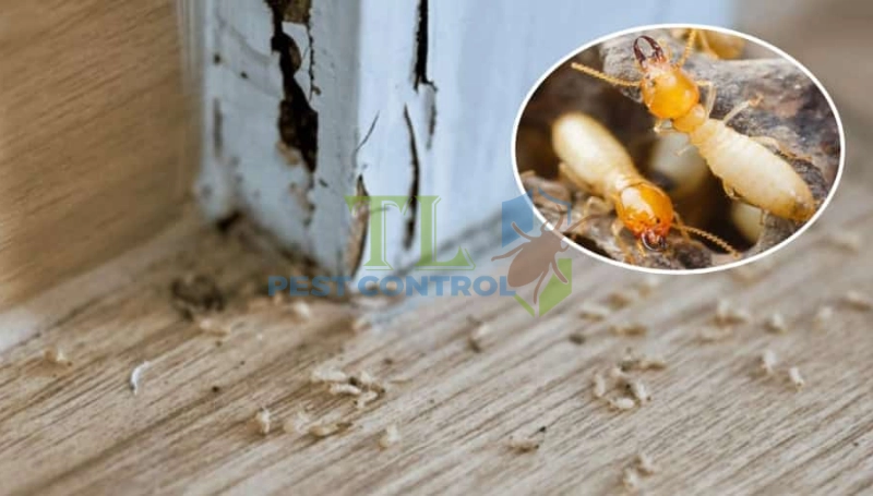 Những vị trí trong nhà cần kiểm tra trước