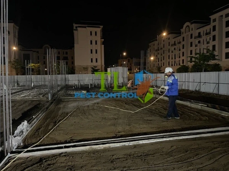 dịch vụ diệt mối móng nhà 