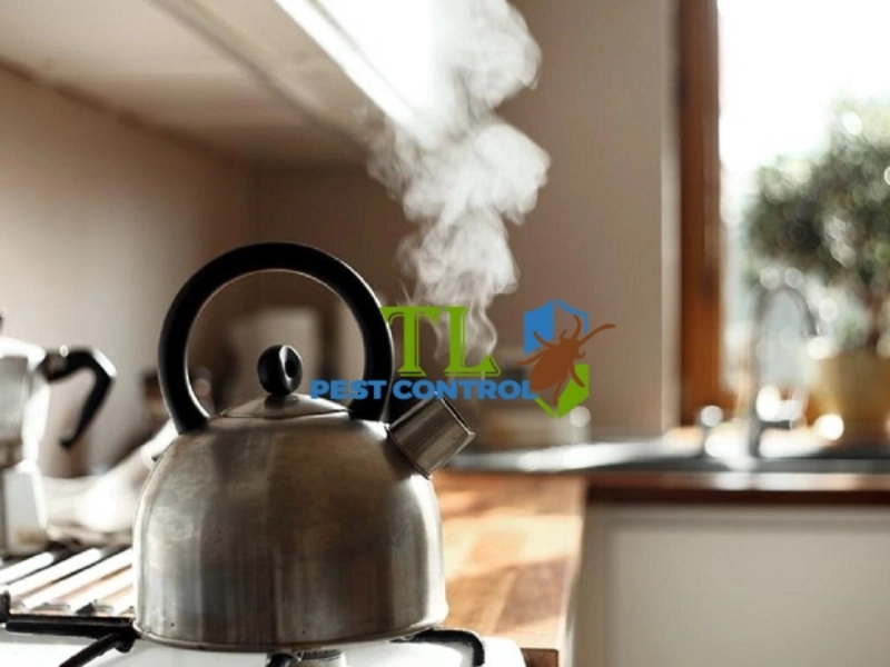 Đổ nước sôi xuống ống cống nhà vệ sinh diệt trứng ruồi cống Đổ nước sôi xuống ống cống nhà vệ sinh diệt trứng ruồi cống