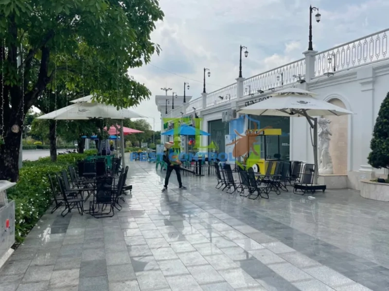 diệt mối cho quán cà phê diệt mối cho quán cà phê