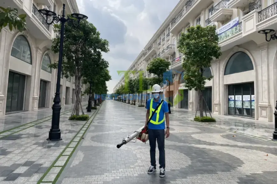 Dịch Vụ Diệt Muỗi Bình Định Giá Rẻ, Uy Tín, An Toàn