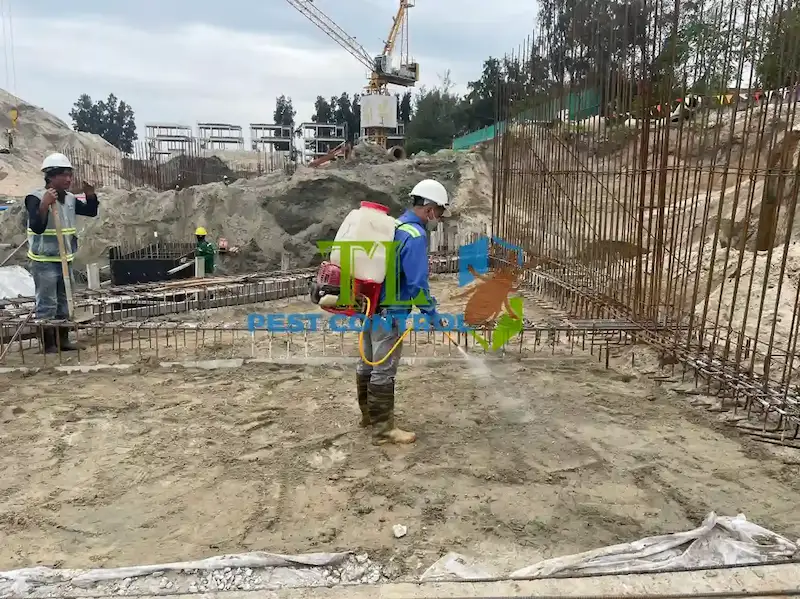 dịch vụ phòng chống mối dịch vụ phòng chống mối