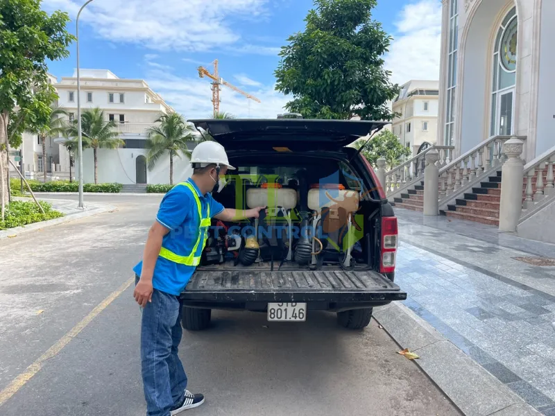 Công ty Trần Long - Đơn vị diệt mối uy tín, hiệu quả