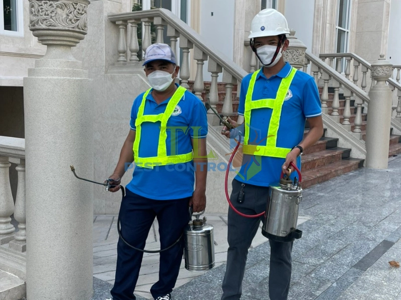 Bảng báo giá dịch vụ diệt mối Bình Thạnh chi tiết mới nhất