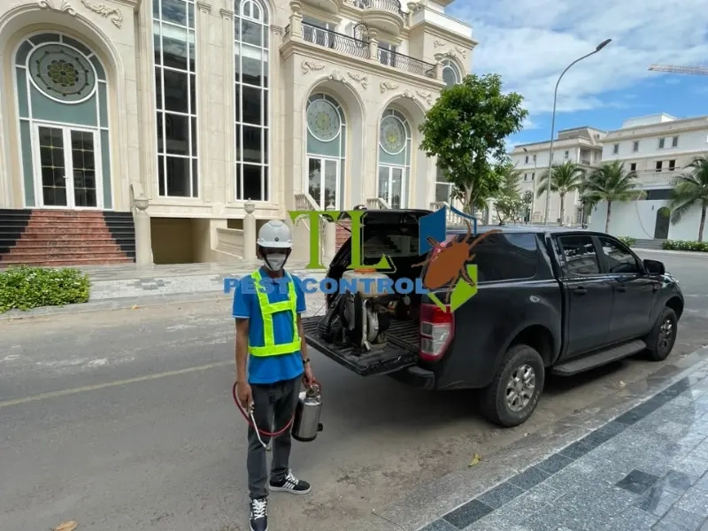 cách sử dụng thuốc mối dạng bột