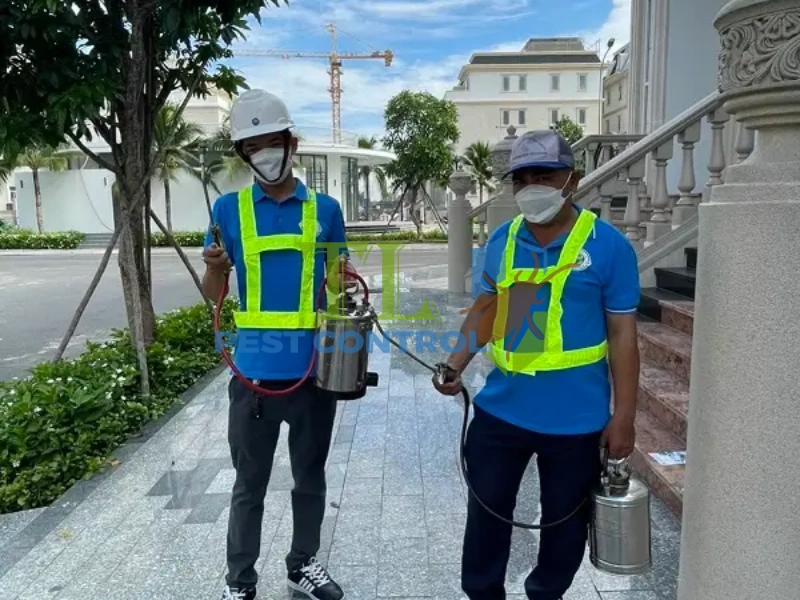thuốc diệt mối dạng bả
