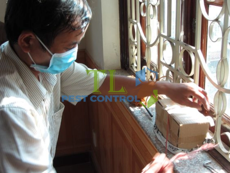 diệt mối sinh học và truyền thống