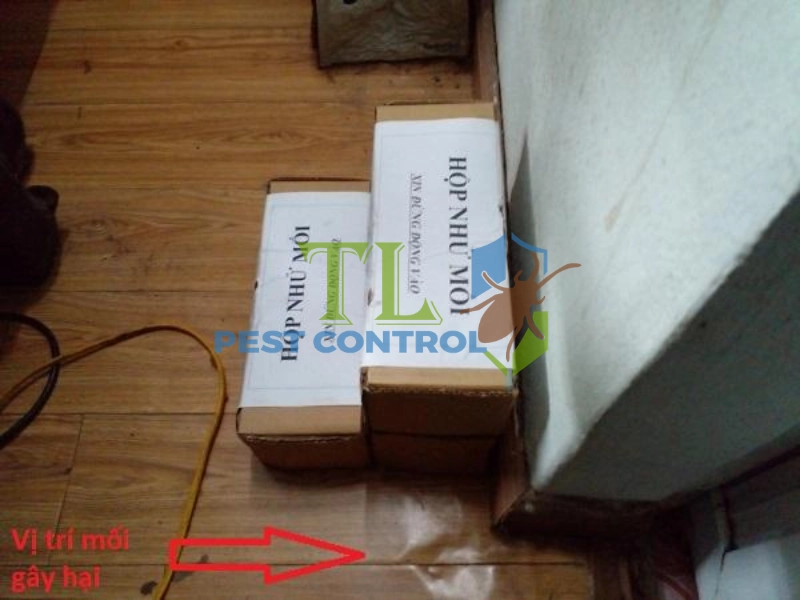 thuốc diệt mối pmc 90 chính hãng