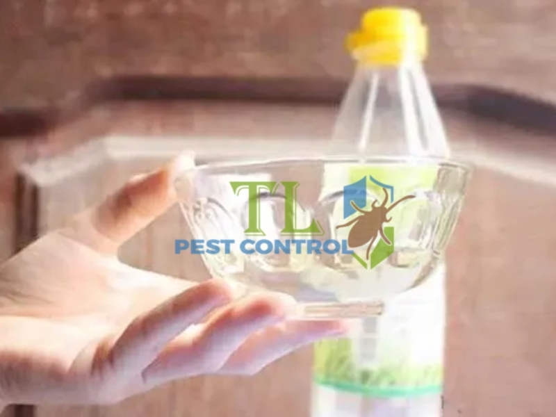Diệt kiến bằng giấm trắng