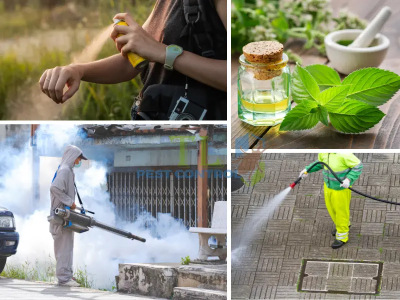 Các biện pháp kiểm soát muỗi hiệu quả